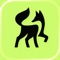 Green-Got, compte & épargne