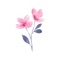Daily Planner & Diary - Floret