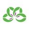 Alternatives FCU Mobile