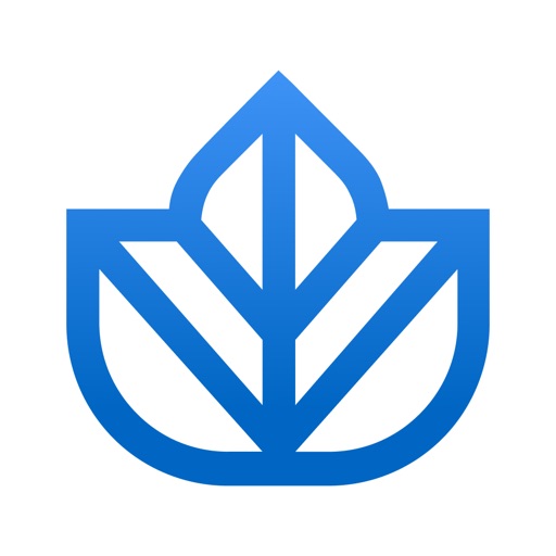 Ivy.co