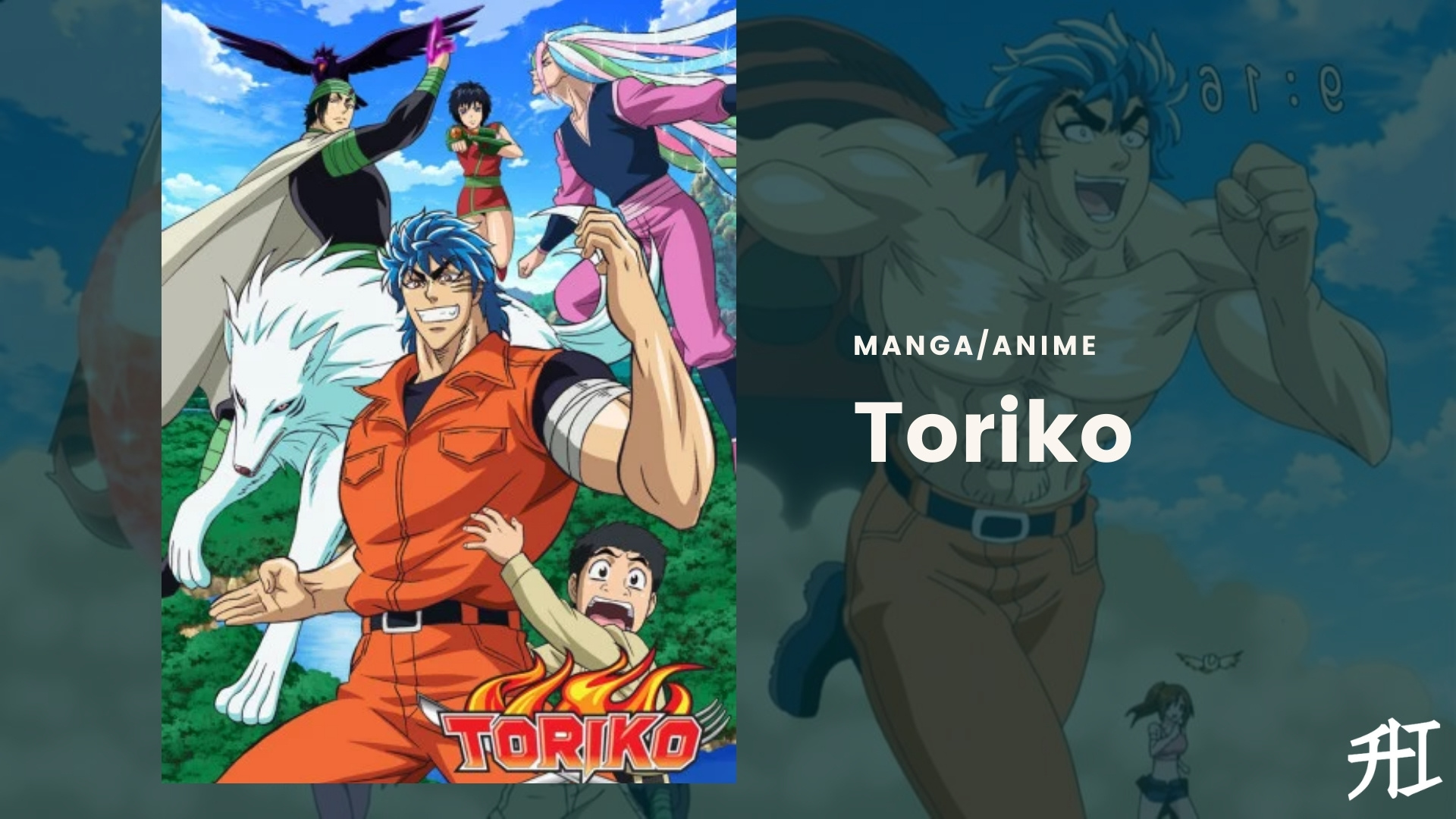Toriko - Anime como One Piece Series | Animeindia.in